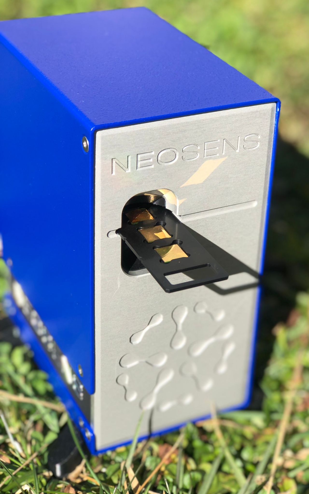 LinkedIn post preview